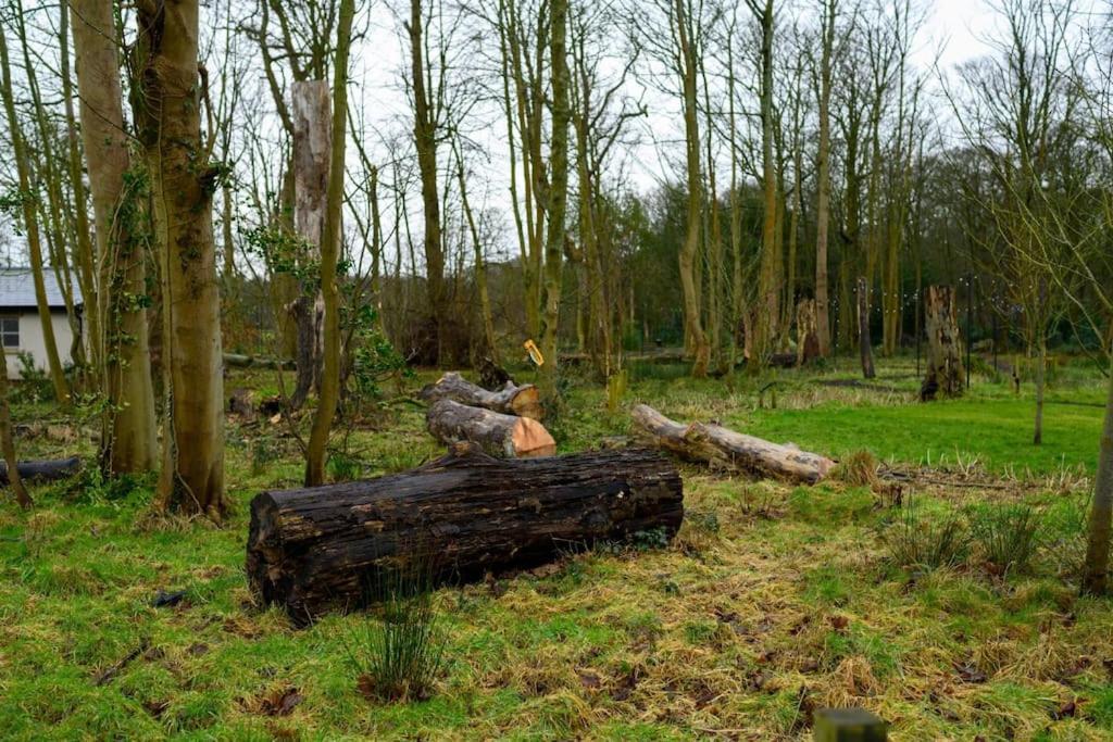 Woodland Retreat In Lytham. Βίλα Lytham St Annes Εξωτερικό φωτογραφία